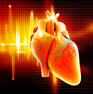 Heart illustration HD1PY